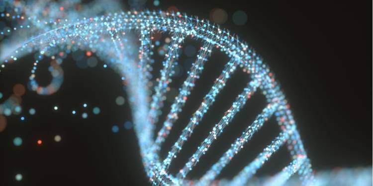 Biotechnology and the Bioeconomy in the Global Competitive Environment