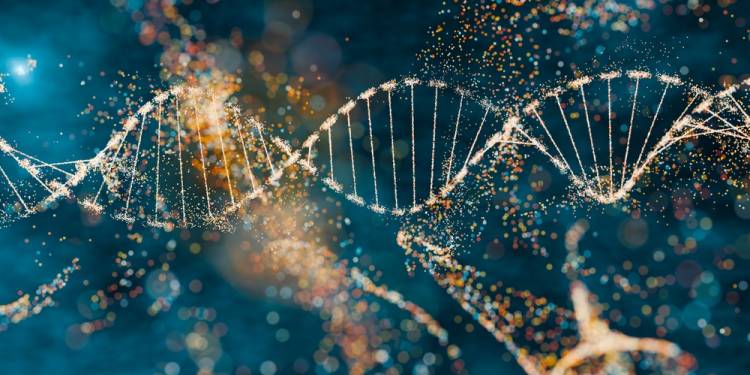 Biotechnology and the Bioeconomy in the Global Competitive Environment